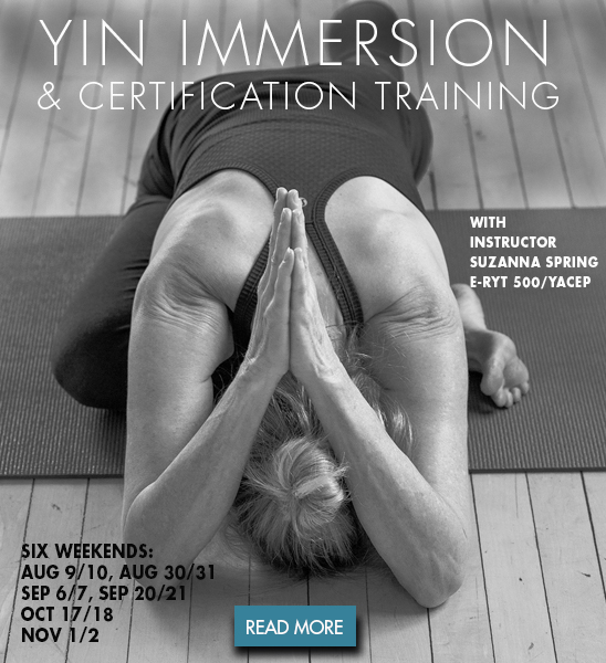 Yin Immersion 2025B