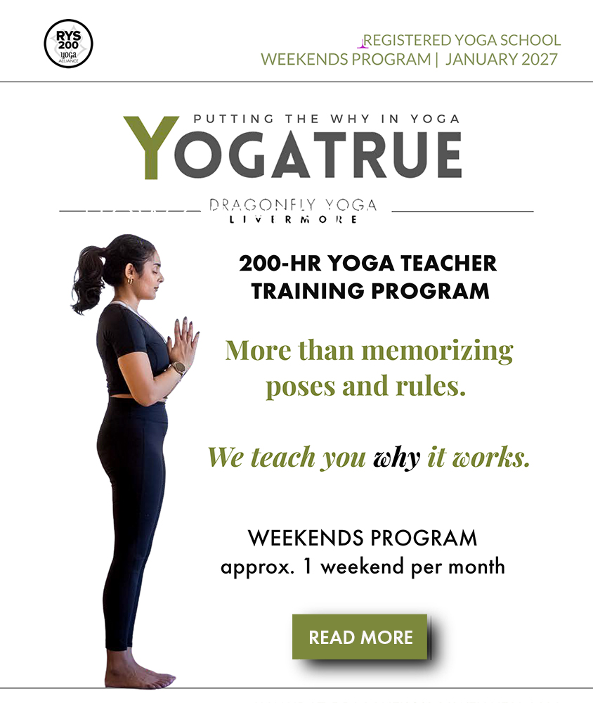 2027 YogaTrue Flyer